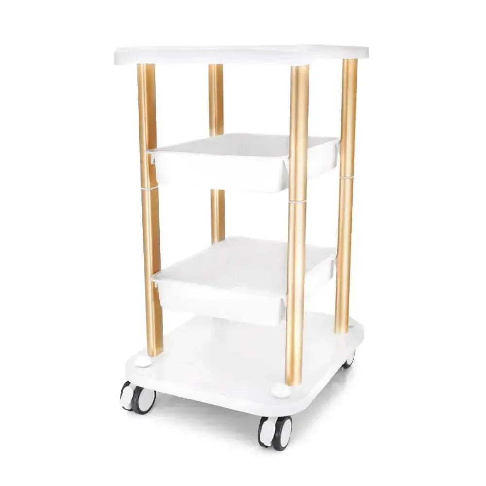 Spa Beauty Salon Pro Three Shelf Trolley