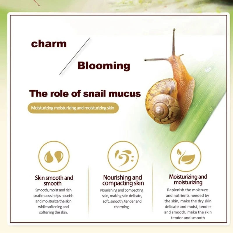 Snail Collagen Cream & Eye Serum – Anti-Aging, Whitening & Dark Circle Care