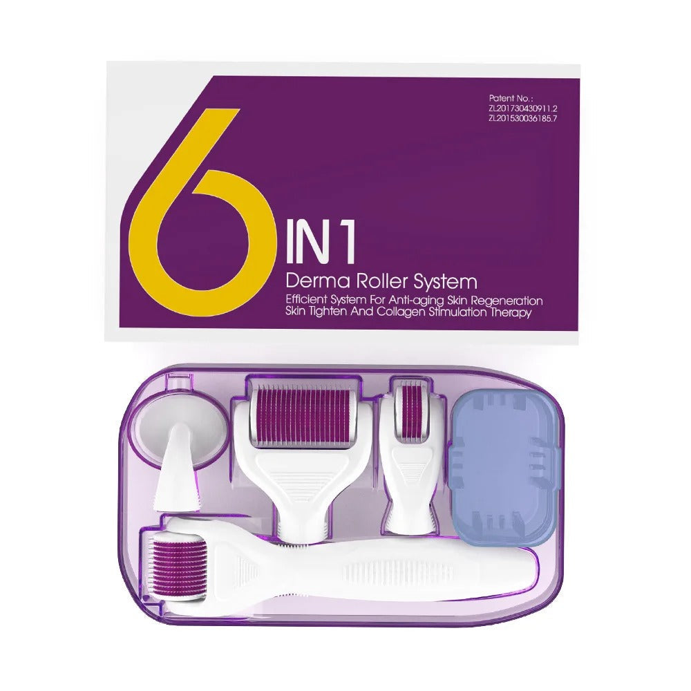 6-in-1 Microneedle Derma Roller Kit – Titanium Dermaroller