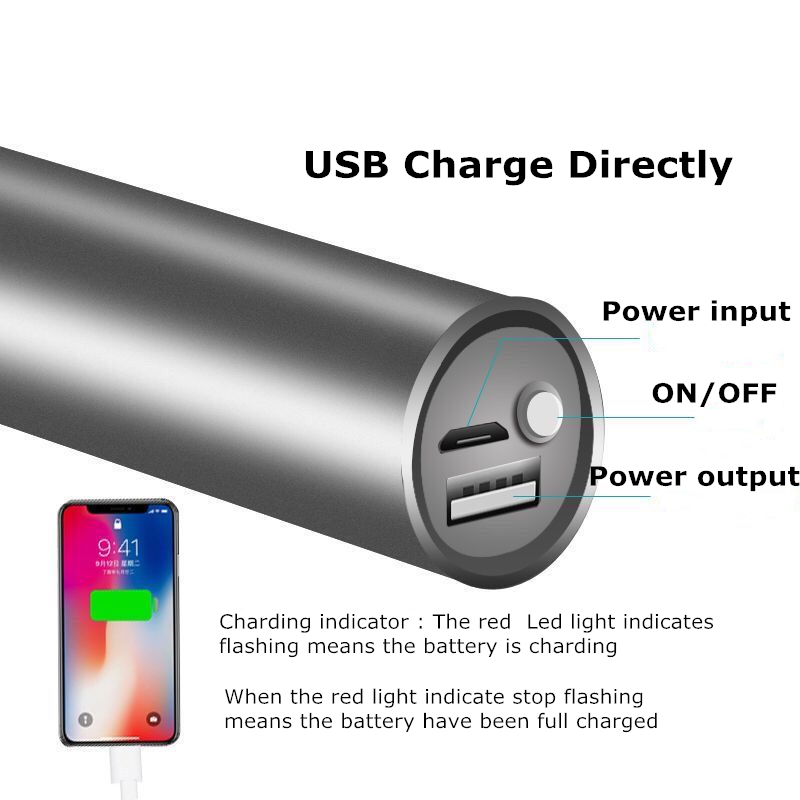 Red Light Therapy Torch--Affordable, Portable Relief for Joints & Skin, Doubles as Phone Charger