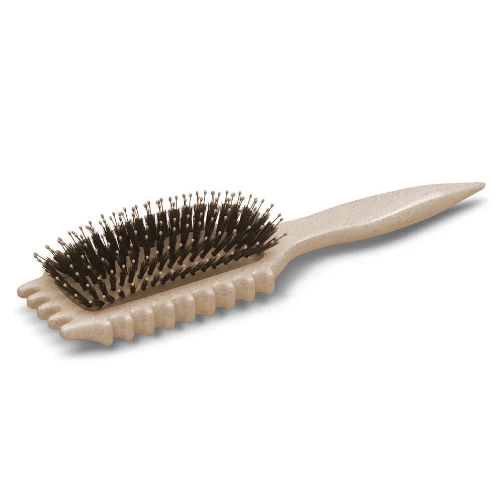 CurlHaven | Best Detangling Brush for Effortless Curl Definition