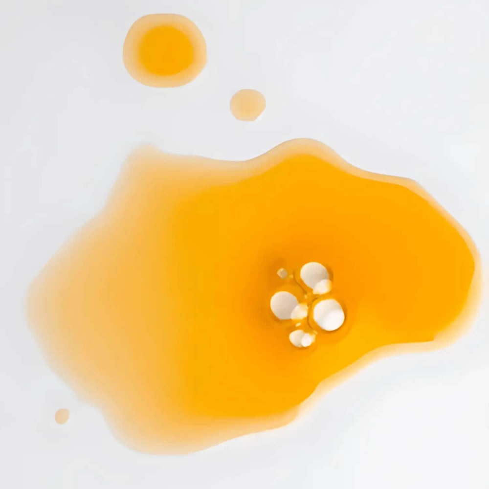 Radiance Revive All-In-One Facial Oil
