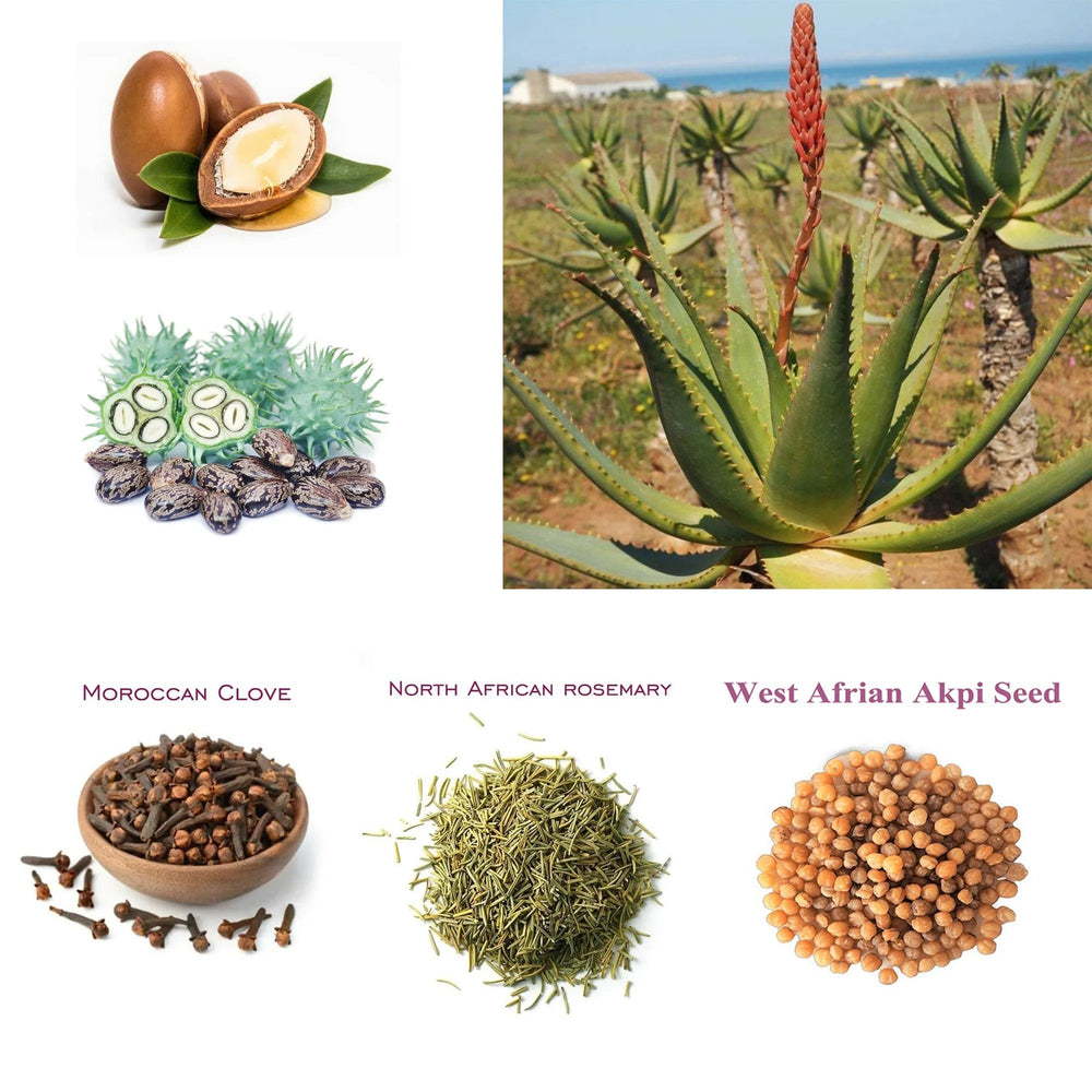 Artisanal African Nourish Oil – Moisture Lock & Hair Root Strengthening 50ml