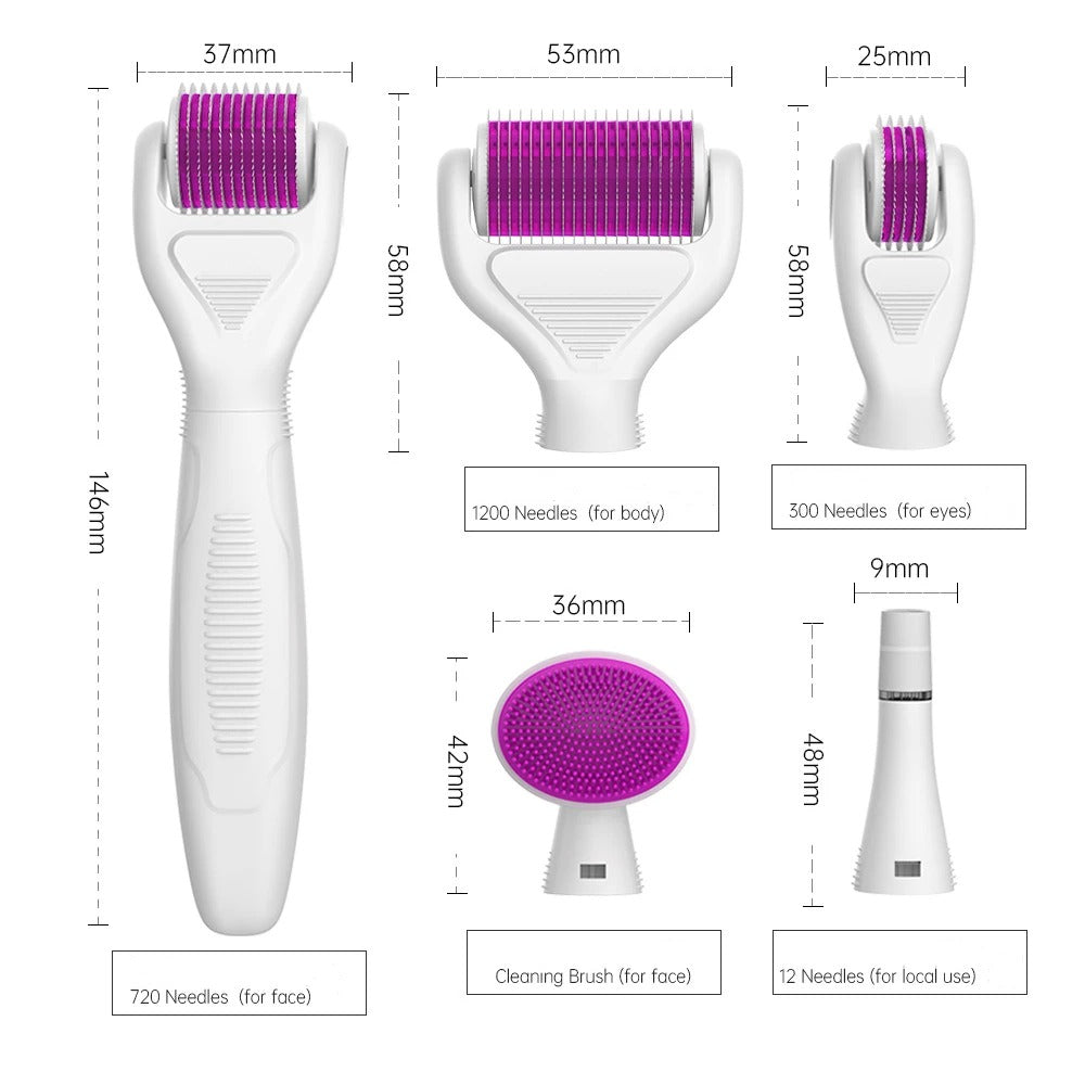 6-in-1 Microneedle Derma Roller Kit – Titanium Dermaroller