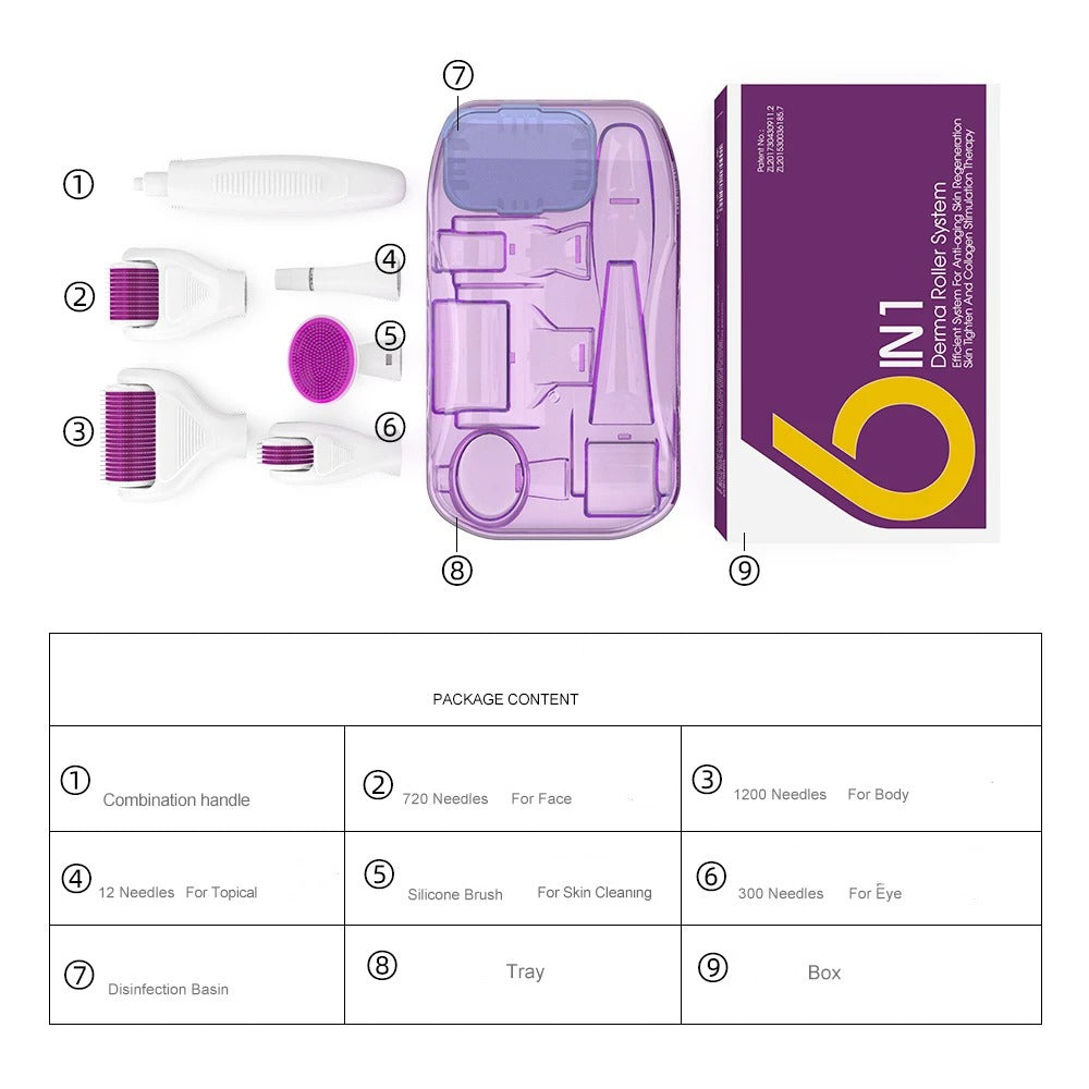 6-in-1 Microneedle Derma Roller Kit – Titanium Dermaroller